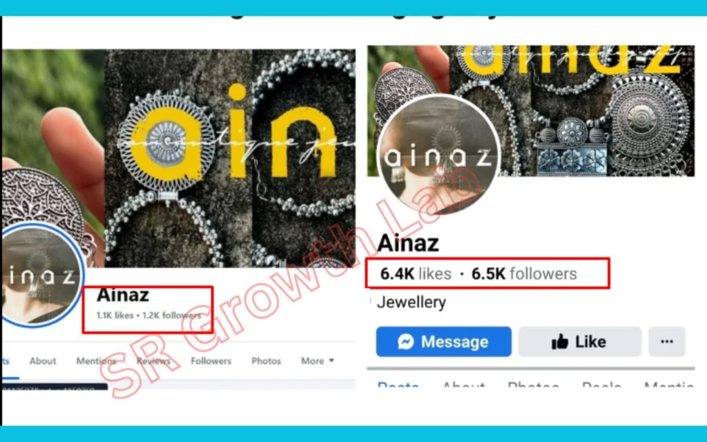 Before and after Facebook page statistics for Ainaz showing increase in likes and followers