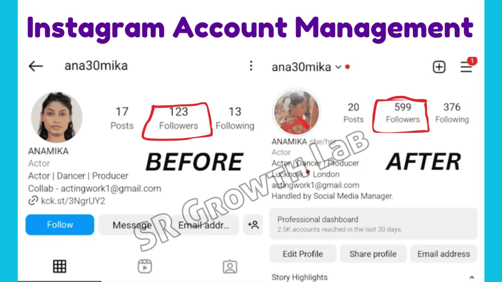 Instagram follower growth for Anamika showing increase from 123 to 599 followers after account management