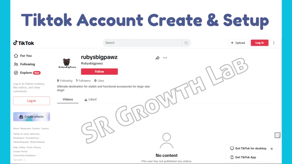TikTok account setup for RubysBigPawz pet accessory brand by SR Growth Lab